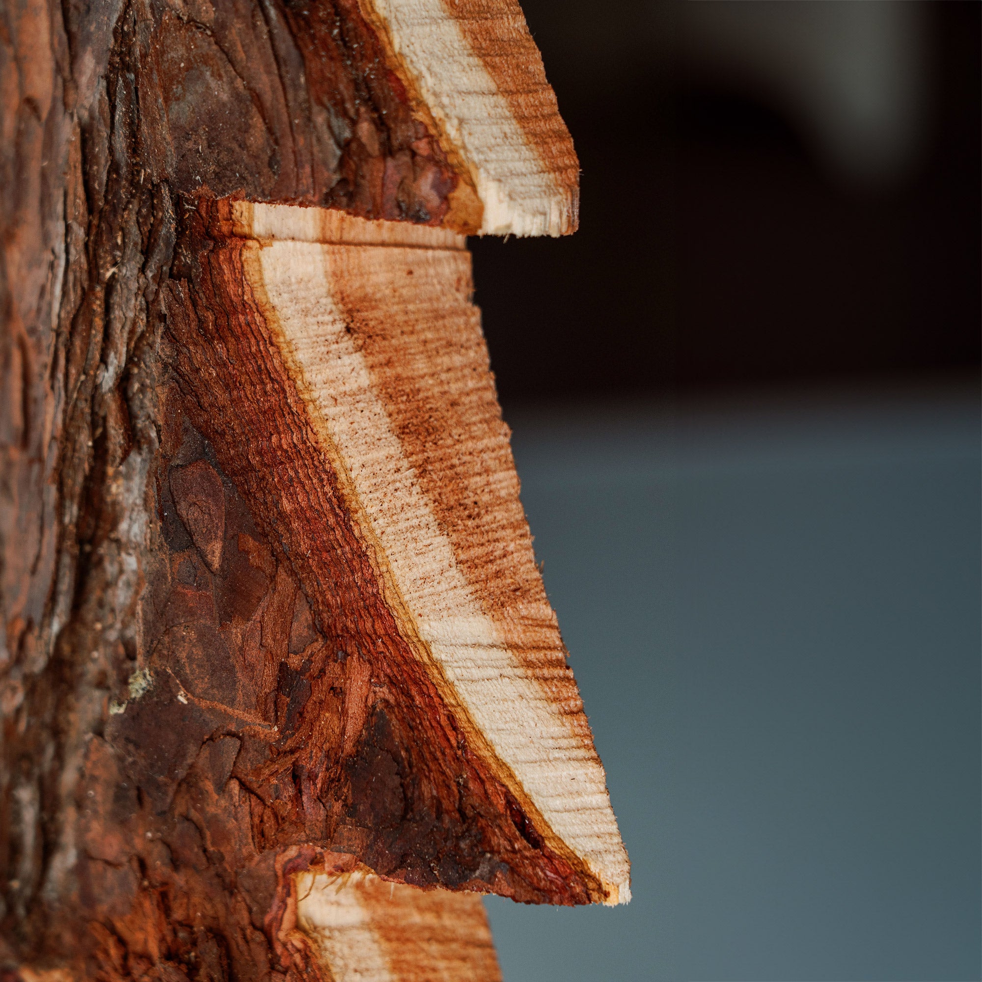 Individuelles Seitenabschnittbrett mit Ihrem Motiv