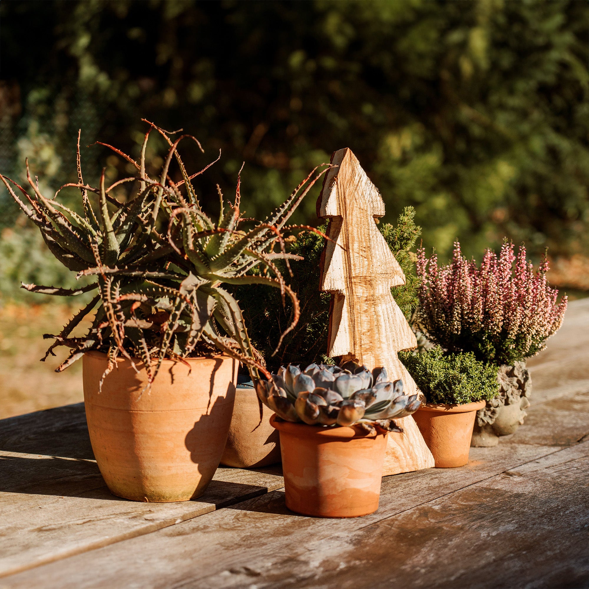 Individuelles Seitenabschnittbrett mit Ihrem Motiv